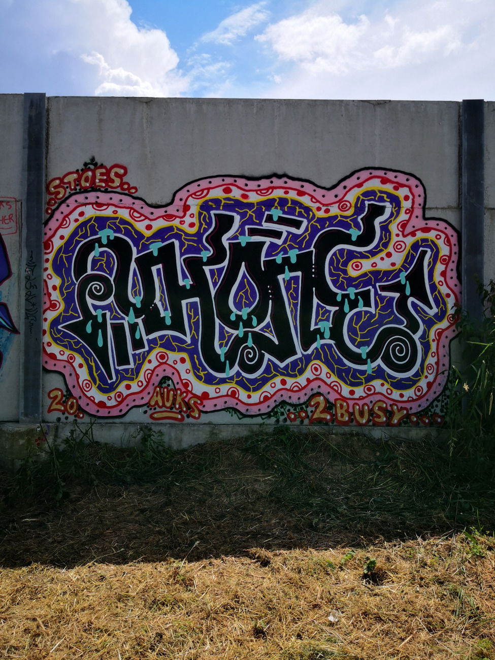Graffiti Wall - Photo by pannonian - uhone, uh, funky