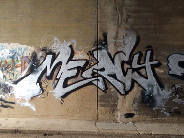 Graffiti Bombing - Photo by panzerknacker - Mercy, aims