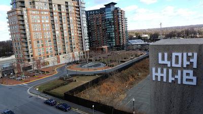 Street Art of the Year 2017