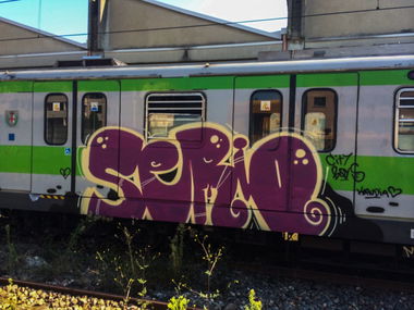 Graffiti Train - Photo by pardonmefrench - subway, metro, milano (2014)