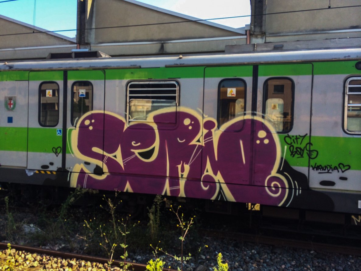 Graffiti Train - Photo by pardonmefrench - subway, metro, milano (2014)