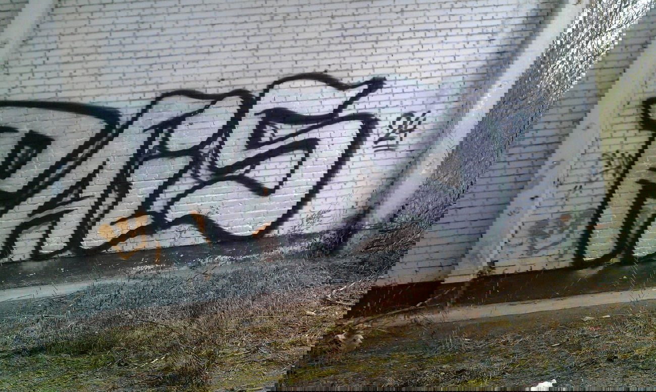 Graffiti Bombing in Magdeburg - Photo by partytime - PAIS, 24er