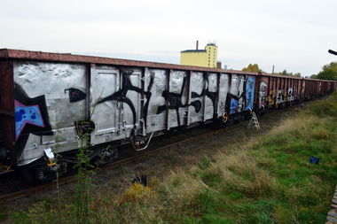 Graffiti Train in Magdeburg - Photo by partytime - Biest, 24, 24er (2013)