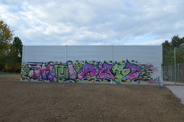 Graffiti Bombing in Magdeburg - Photo by partytime - Skui, Biest, 24 (2014)