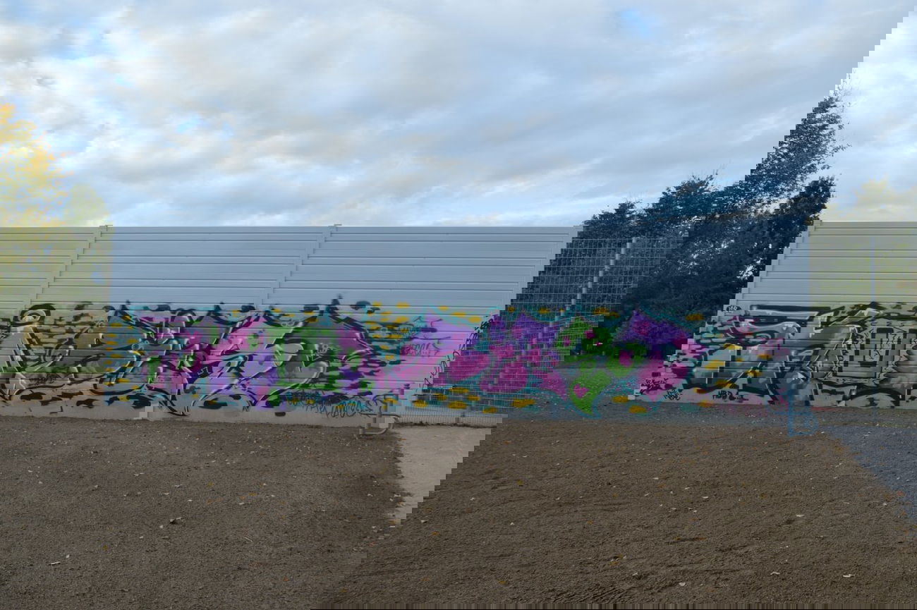 Graffiti Bombing in Magdeburg - Photo by partytime - Skui, Biest, 24 (2014)