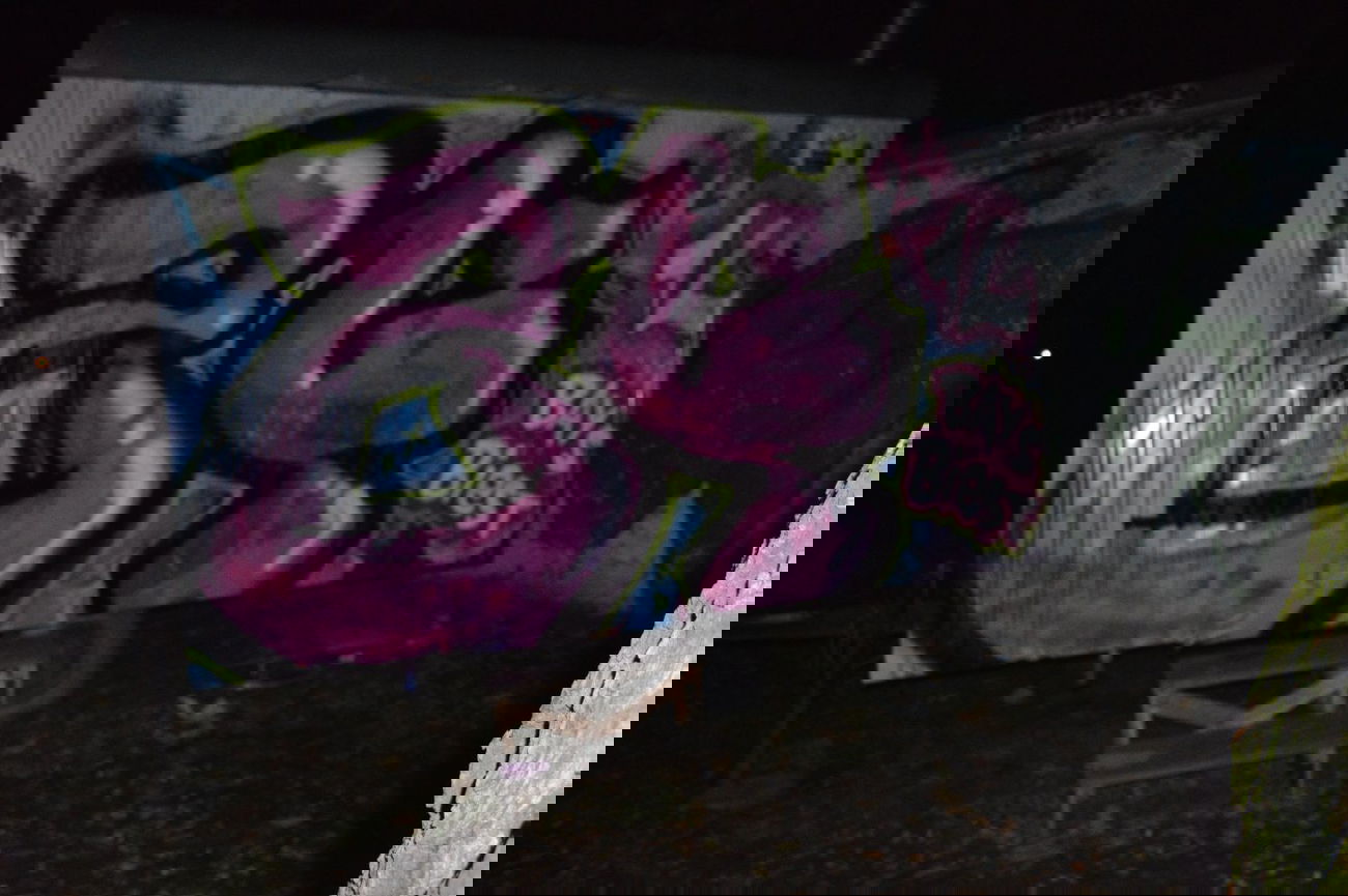 Graffiti Bombing - Photo by partytime - 24, 24er, Biest (2014)