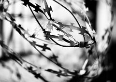 Photo #16217 by microu