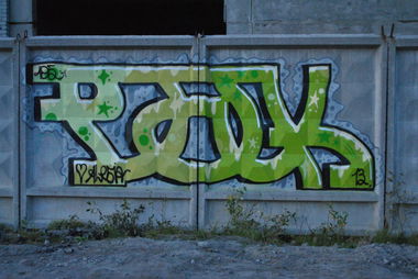 Graffiti Bombing - Photo by pask