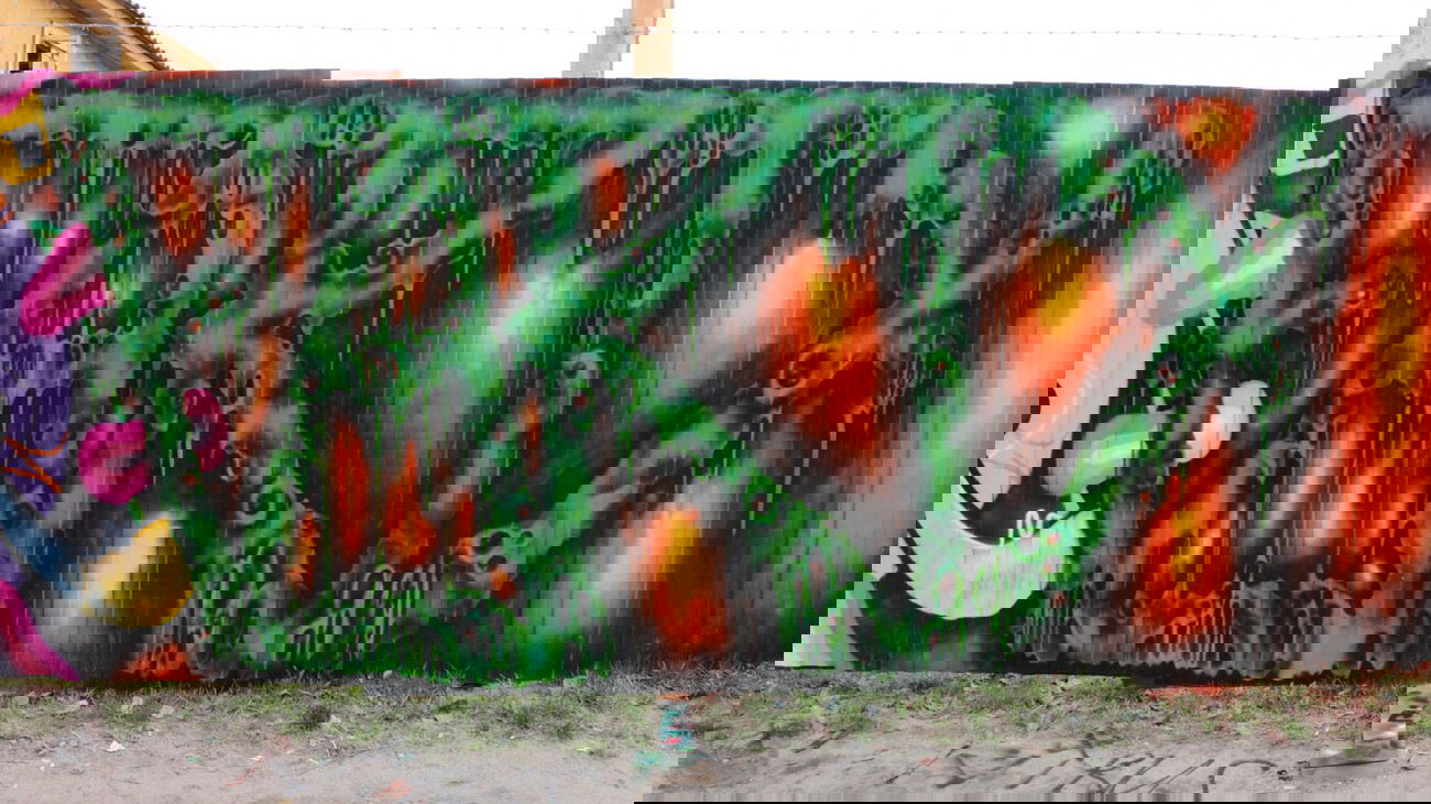 Graffiti Wall in Murmansk - Photo by pask - pask, 40, 40's (2014)