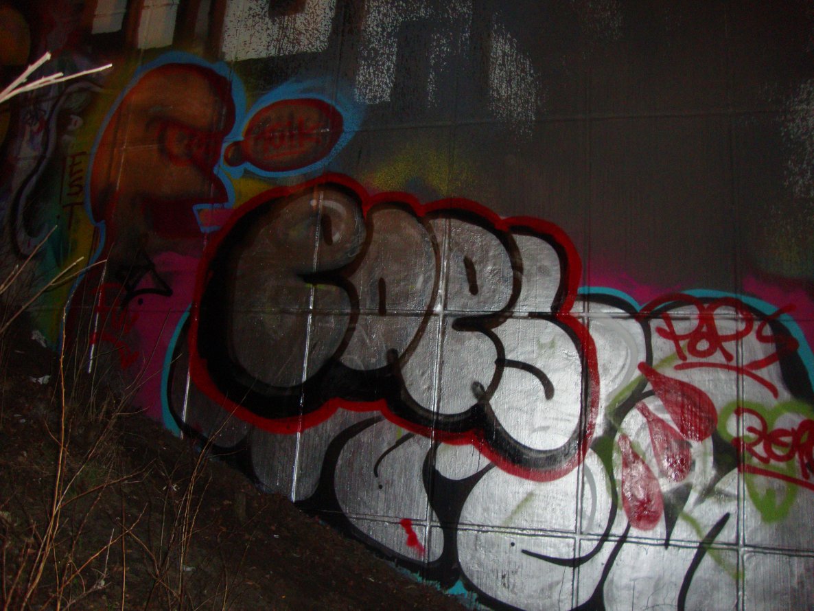 Graffiti Bombing - Photo by paula - Hamburg, pops, bombing