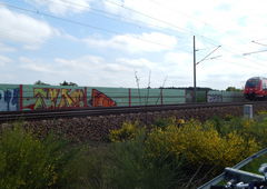 Photo #88929 by MonsterGurkE