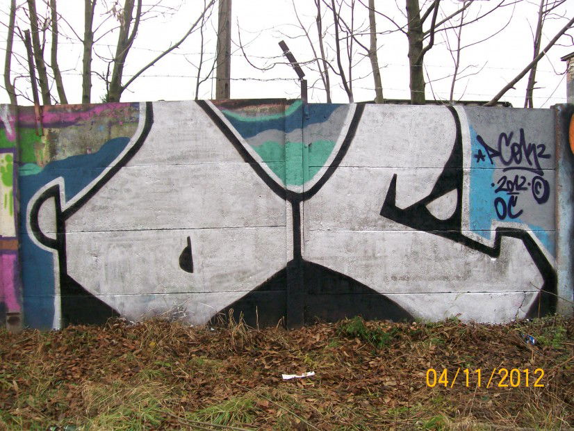 Graffiti Bombing in ?wiebodzin - Photo by pcok2 (2012)