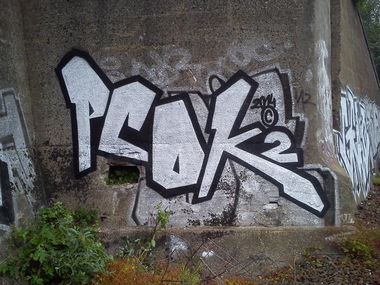 Graffiti Bombing - Photo by pcok2 (2014)