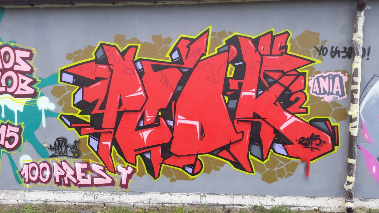 Graffiti Wall - Photo by pcok2 (2015)