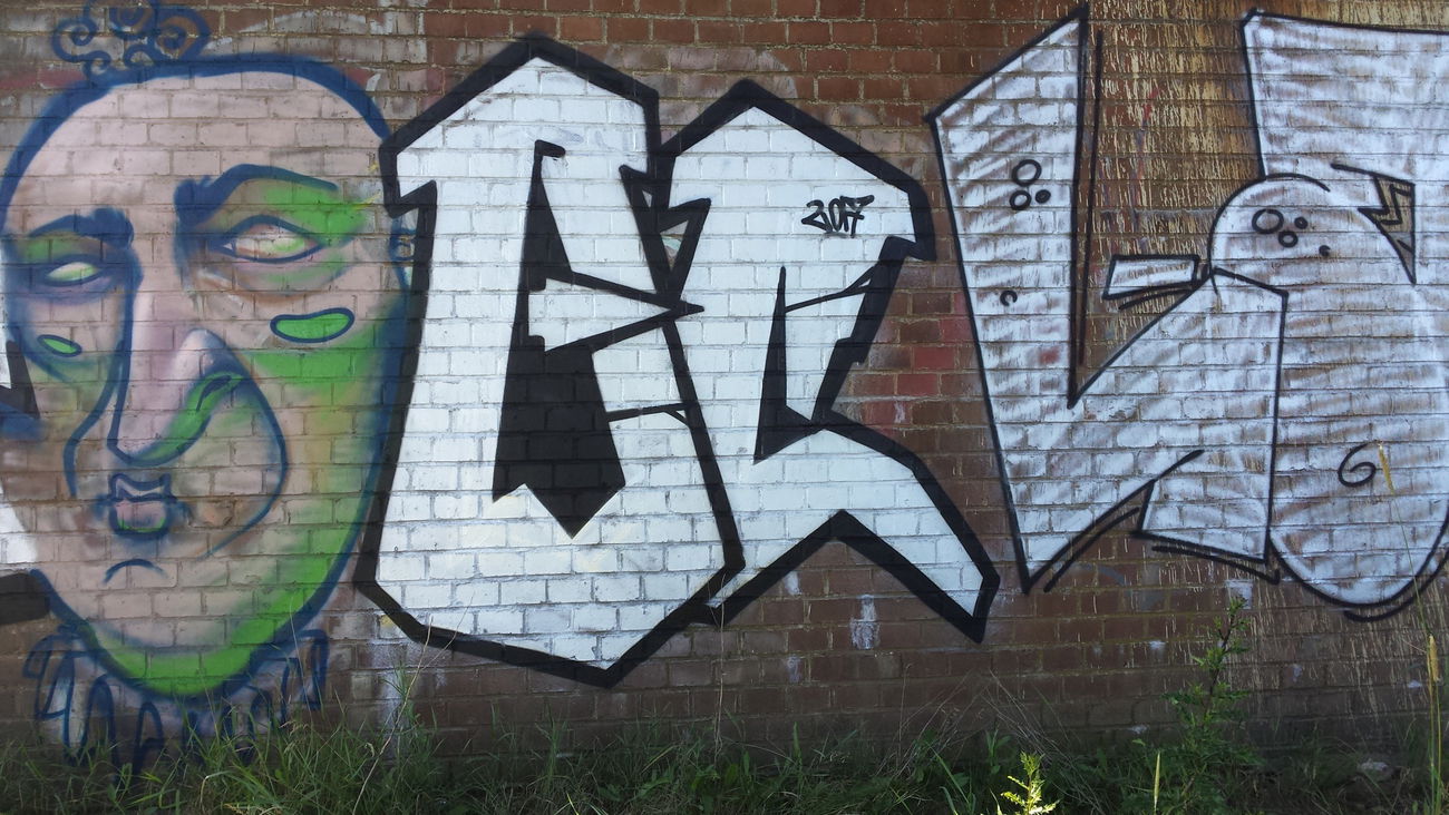 Graffiti Bombing - Photo by pcok2 (2017)