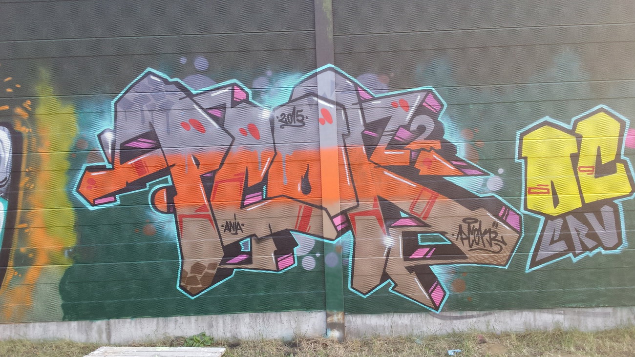 Graffiti Bombing - Photo by pcok2 (2015)
