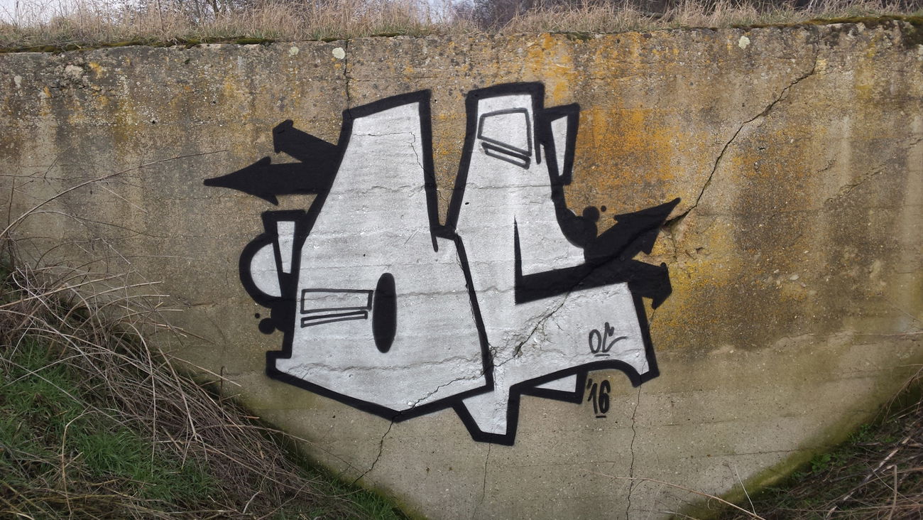 Graffiti Bombing - Photo by pcok2 (2016)