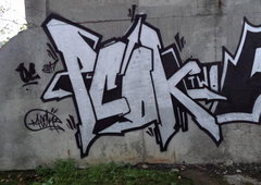 Photo #214642 by casom