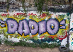 Photo #209951 by HarryKnidder