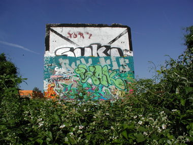 Graffiti Bombing in Wiesbaden - Photo by peaks76 - sellemols (2006)