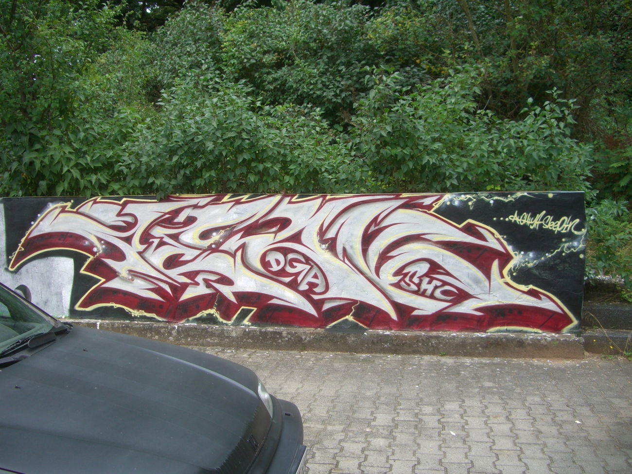 Graffiti Wall in South hoelderlin - Photo by peaks76 - peak7, dga, shc (2010)