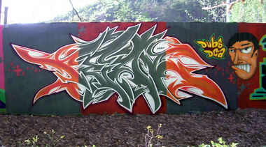 Graffiti Wall in Homburg - Photo by peaks76 - peak7, dga, shc (2009)