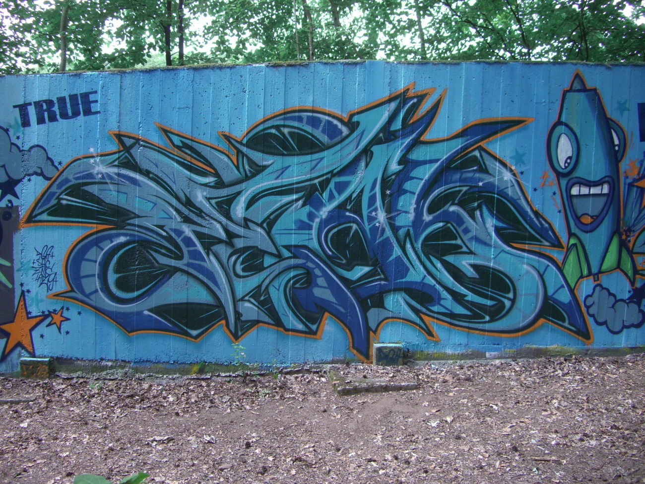 Graffiti Wall in Homburg - Photo by peaks76 - peak7, dga, true (2009)