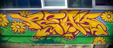 Graffiti Wall in Waldmohr - Photo by peaks76 - peak, allein, zuhaus (2010)