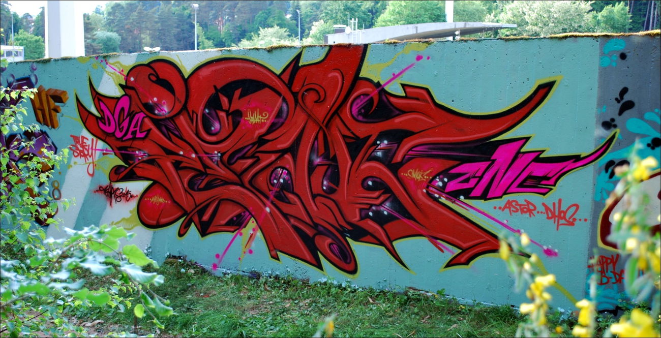 Graffiti in HOMBURG - Photo by peaks76 - peak, peaks, dga (2015)