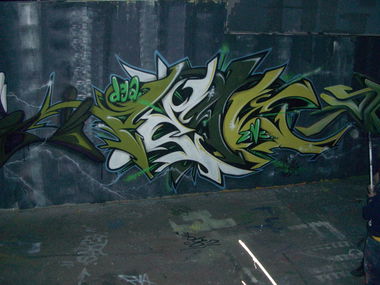 Graffiti Wall in Basel - Photo by peaks76 - peak7, dga, shc (2010)
