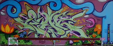Graffiti Wall in Hannover - Photo by peaks76 - peak7, peaks, dga (2010)