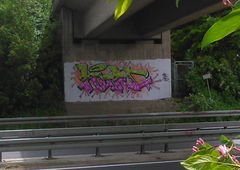 Photo #151273 by TagHagel