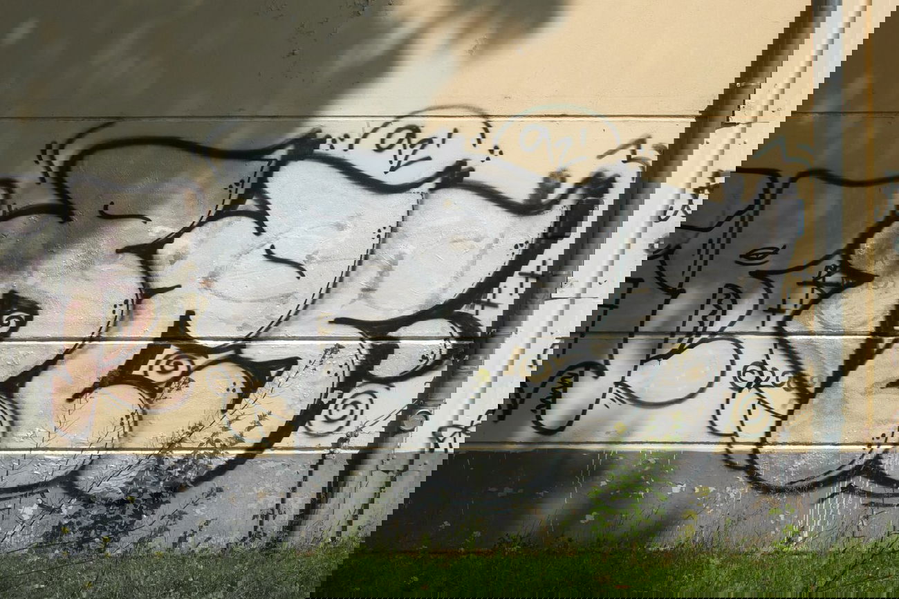 Graffiti Bombing in Leipzig - Photo by pewpew - resko, tls, leipzig