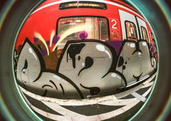 Photo #175378 by Vred