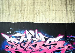 Photo #249695 by irie