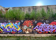 Photo #250178 by DonroSNP
