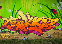 Photo #251183 by irie