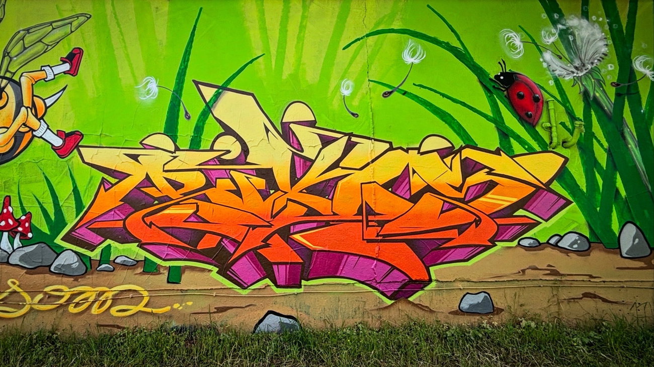 Graffiti Wall in Radeberg - Photo by picks906 (2026)