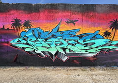 Photo #251185 by irie