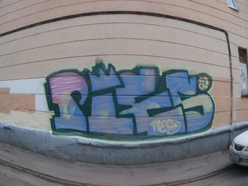 Graffiti Bombing in Yaroslavl - Photo by pies - fsal (2012)