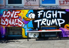 Graffiti Wall - Photo by pilotpirx - donald, duck, trump