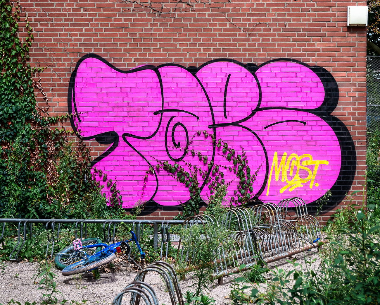 Graffiti Bombing - Photo by pilotpirx