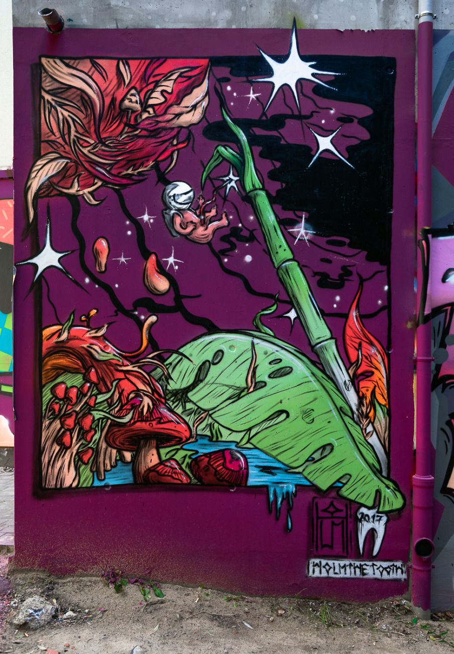 Graffiti Street Art - Photo by pilotpirx - hamburg, germany, urban (2017)