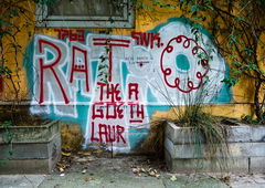 Graffiti Bombing - Photo by pilotpirx - hamburg, germany, urban