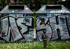 Photo #221712 by Wort