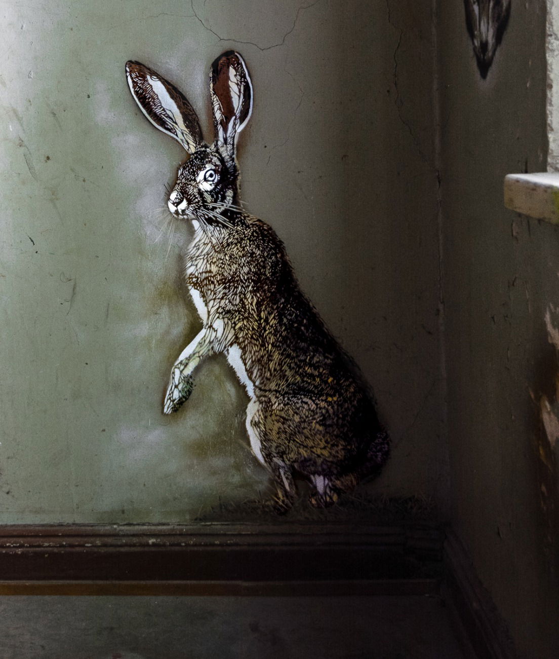 Graffiti Street Art - Photo by pilotpirx - hamburg, germany, urban