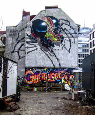 Graffiti Wall - Photo by pilotpirx - nychos, spinne, spider