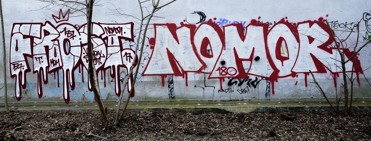 Graffiti Bombing - Photo by pilotpirx - hamburg, germany, urban