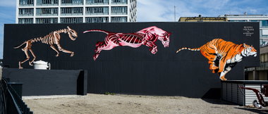 Graffiti Wall - Photo by pilotpirx - holzweg, hol2weg, mural