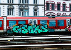 Graffiti Train - Photo by pilotpirx - train, db, sbahn